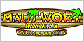 Maui Wowi Franchise Opportunity